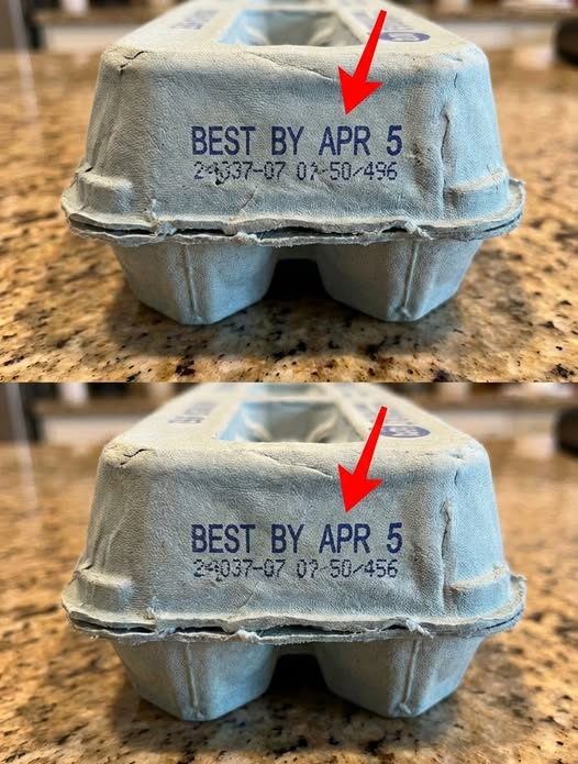 What the Numbers on Your Egg Carton Really Mean — And Why Ignoring Them Could Make You Sick