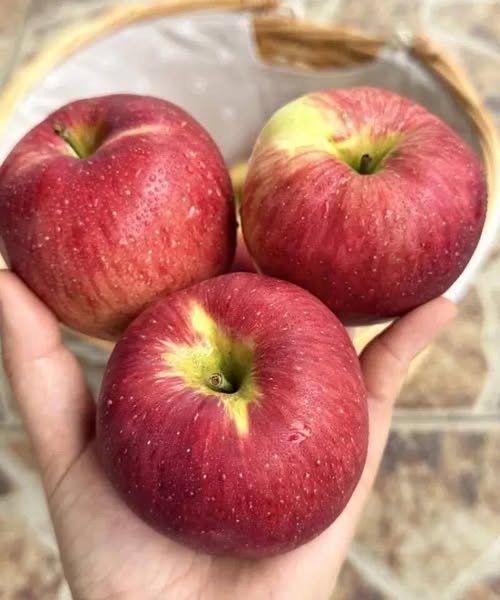 Doctors Reveal That Eating Apples Regularly Can Transform Your Health: From Sharper Digestion and Lower Cholesterol to Better Heart, Gut, and Immune Function — Discover What Happens if You Make Apples a Daily Habit