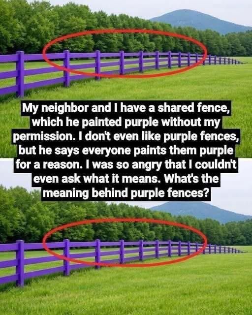 The Hidden Meaning Behind Purple Painted Fences and Trees and Why This Unusual Color Serves as a Legal No Trespassing Warning Across Many US States for Landowners Hikers and Anyone Who Enjoys Exploring Rural Areas Safely Respecting Property Boundaries and Avoiding Costly Legal Trouble
