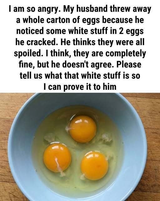 What Exactly Is the White Part of an Egg, Why It Looks Strange, What It Does for Freshness, Safety, Nutrition, and How This Tiny Detail Reveals the Hidden Science of Eggs