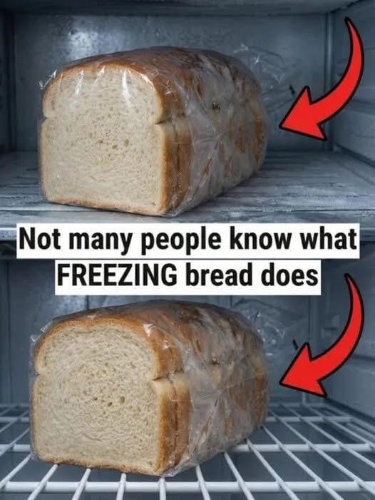 Freezing bread can preserve freshness, but improper storage causes dryness. Use airtight wrapping, double-layer protection, and proper thawing methods to keep bread soft, flavorful, and ready to enjoy without waste.