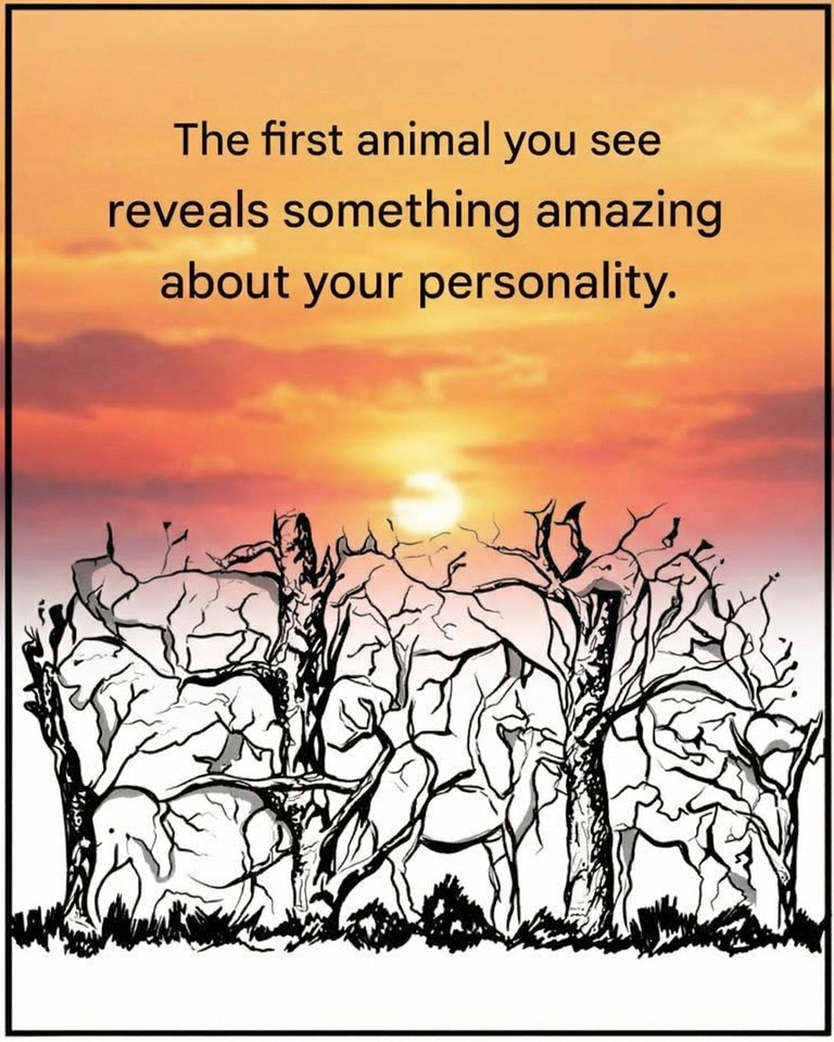 A Simple Image That People Say Reveals Personality Traits