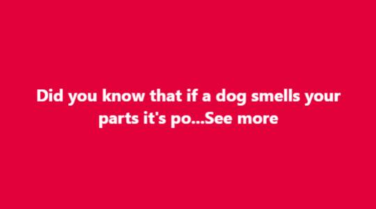 Why Dogs Sniff Our Most Private Areas: Understanding the Science, Instincts, Emotional Intelligence, Communication Signals, Boundaries, and Deep Bond Behind This Natural Canine Behavior That Often Embarrasses Humans but Reveals Remarkable Insight Into How Dogs Perceive People Through Scent, Chemistry, and Compassionate Sensory Awareness
