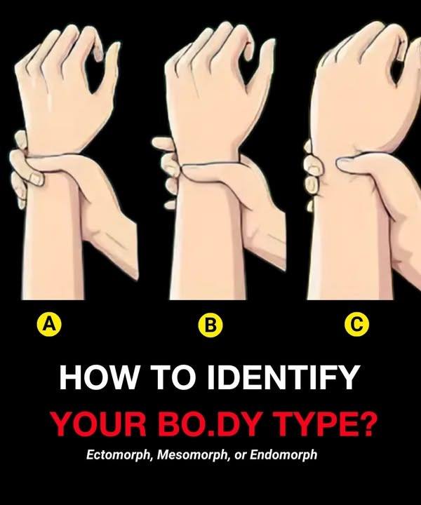 Bo.dy Types: Are You Ectomorph, Mesomorph, or Endomorph?
