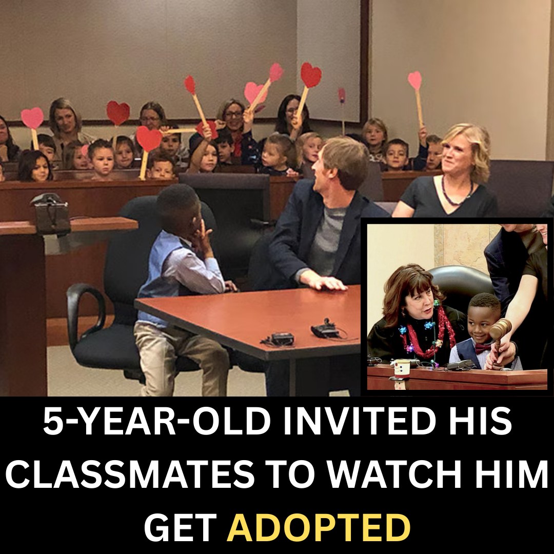 A Courtroom Filled with Love: The 5-Year-Old Who Invited His Whole Class to Adoption Day