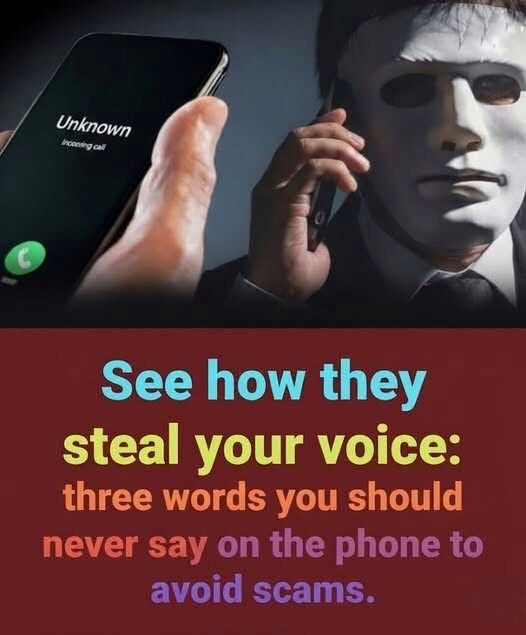 Discover How Scammers Can Steal Your Voice and Exploit You: Learn the Three Critical Words You Should Never Say on the Phone, the Hidden Tricks Criminals Use to Gain Control, and Simple Steps You Can Take to Protect Yourself from Identity Theft and Phone-Based Fraud Before It’s Too Late.