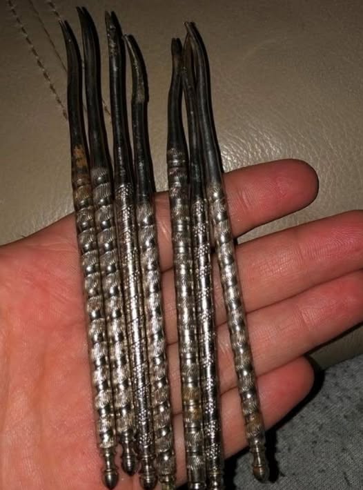 My Friend’s Grandparents Passed and He Grabbed These — But Has No Idea What They Are