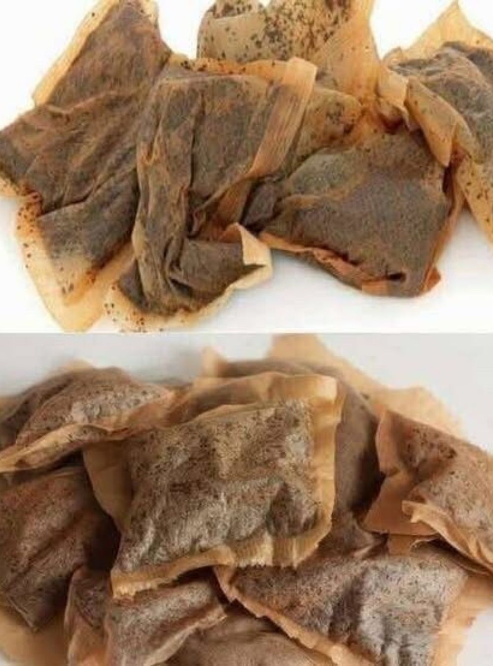 Why You Should Think Twice Before Throwing Away Used Tea Bags