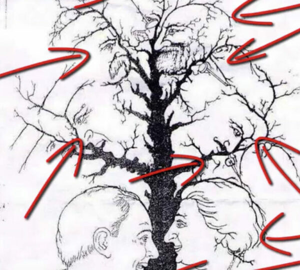 Only a Few People Notice Every Face Hidden in This Tree – Can You?